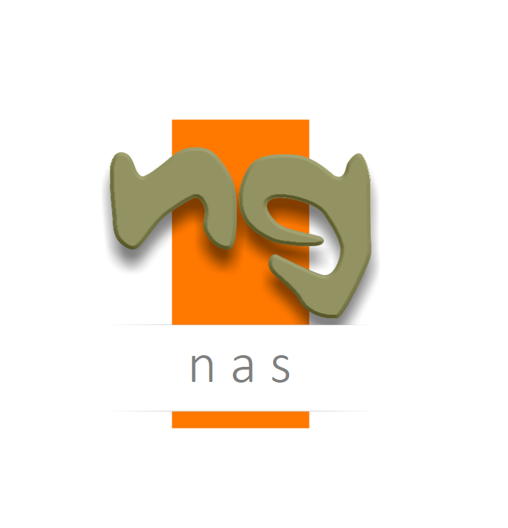 ngnaslogo